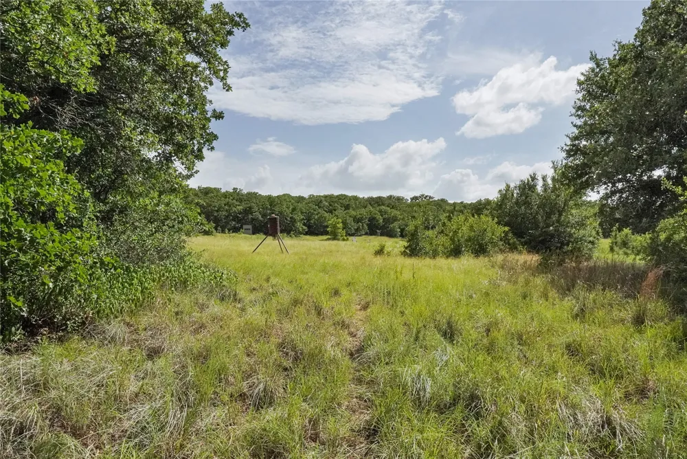 157 Nash Road Jacksboro, TX 76458