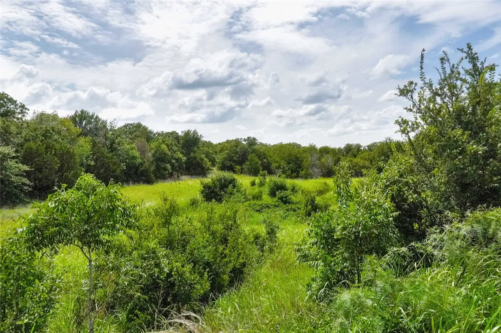 157 Nash Road Jacksboro, TX 76458