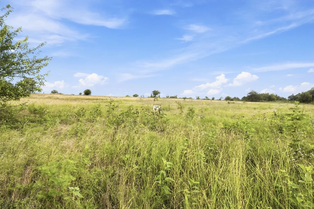 Longview Creek Trail Itasca, TX 76055