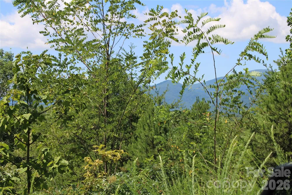 00 Sparrows Way Lake Lure, NC 28746
