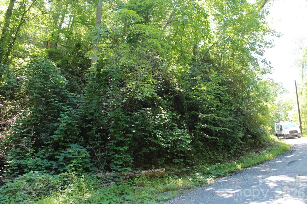 00 Sparrows Way Lake Lure, NC 28746