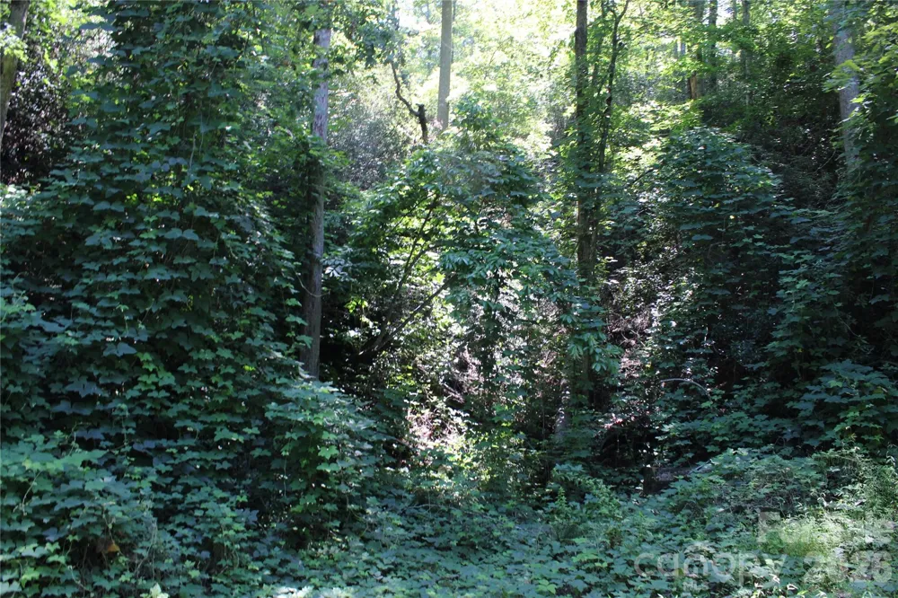 00 Sparrows Way Lake Lure, NC 28746
