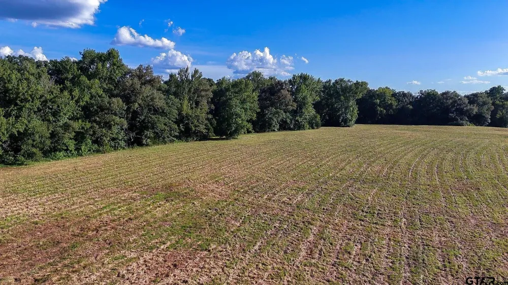 E Highway 11 Winnsboro, TX 75494