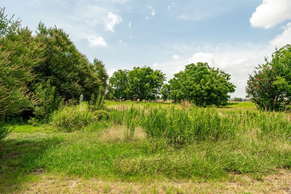 959 Coleman Street Prosper, TX 75078