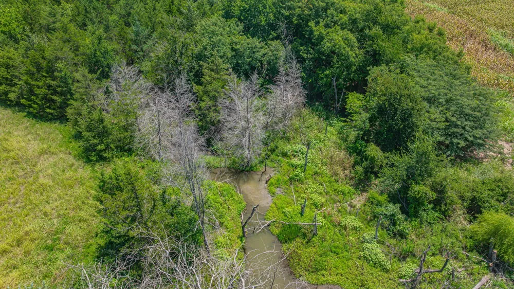 Cr 3320 End Pecan Gap, TX 75469