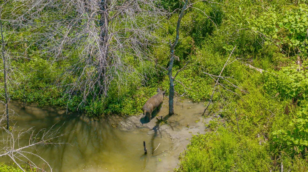 Cr 3320 End Pecan Gap, TX 75469