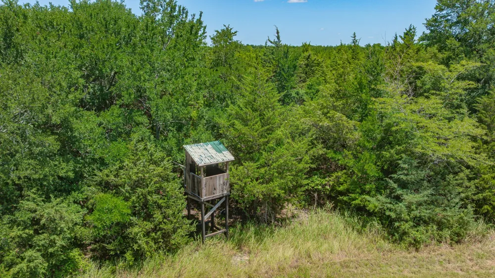 Cr 3320 End Pecan Gap, TX 75469