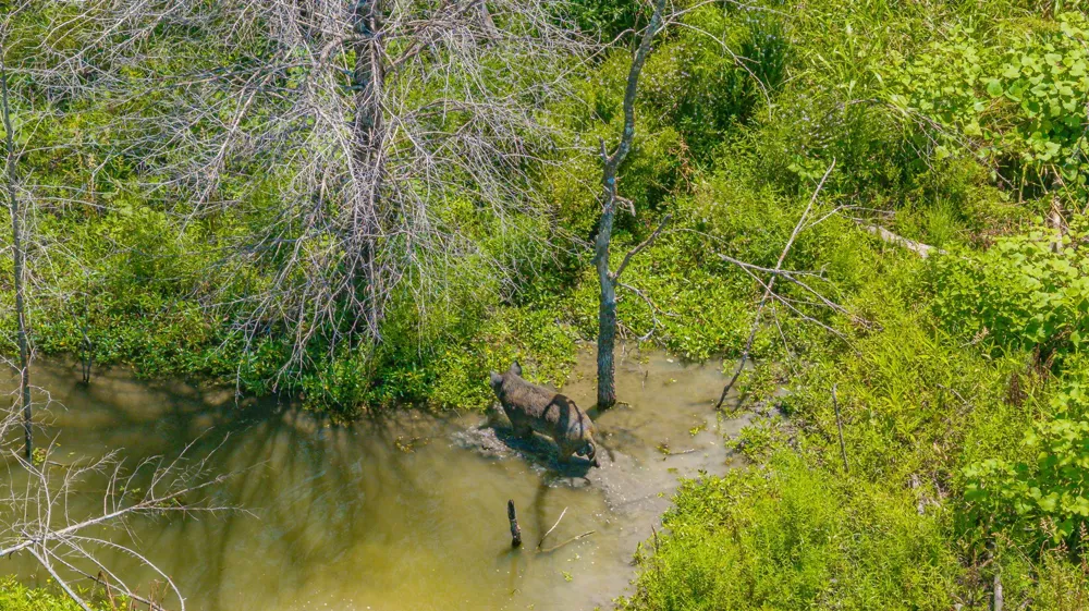 Cr 3320 End Pecan Gap, TX 75469