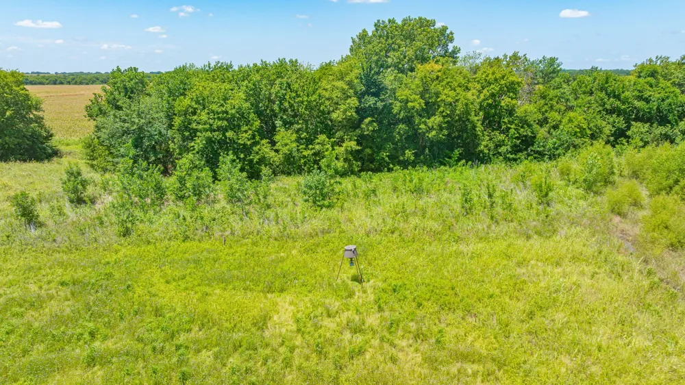Cr 3320 End Pecan Gap, TX 75469