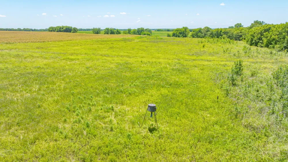 Cr 3320 End Pecan Gap, TX 75469