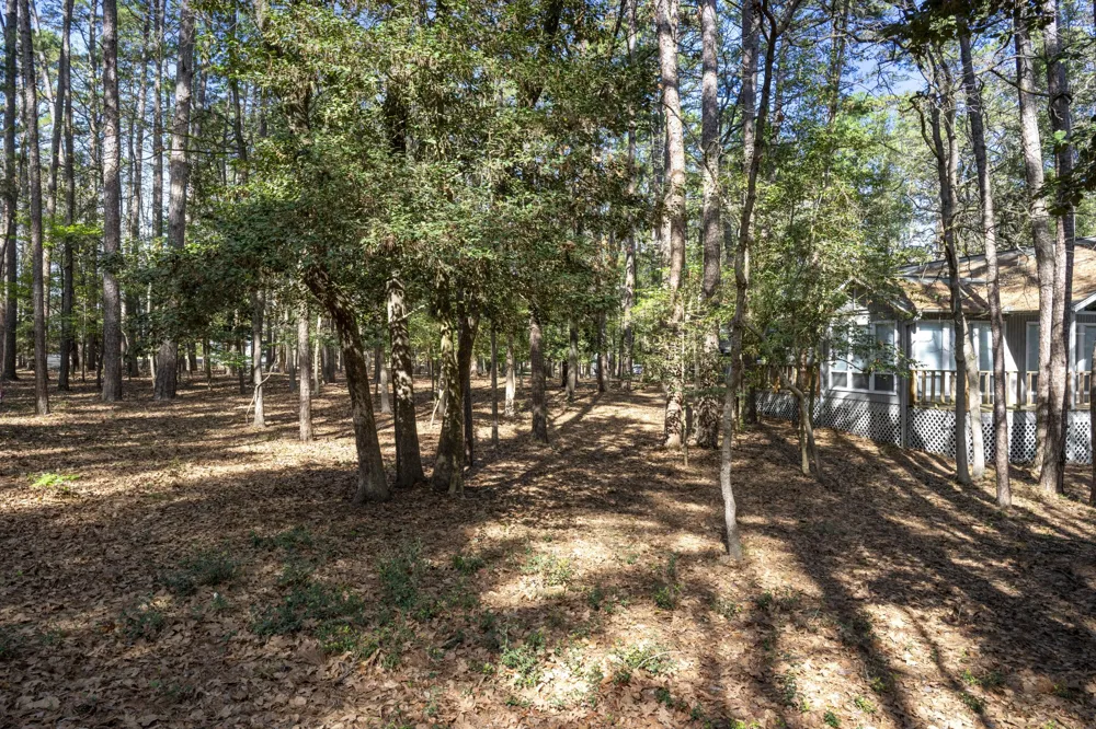 159 Cherrywood Lane Holly Lake Ranch, TX 75765