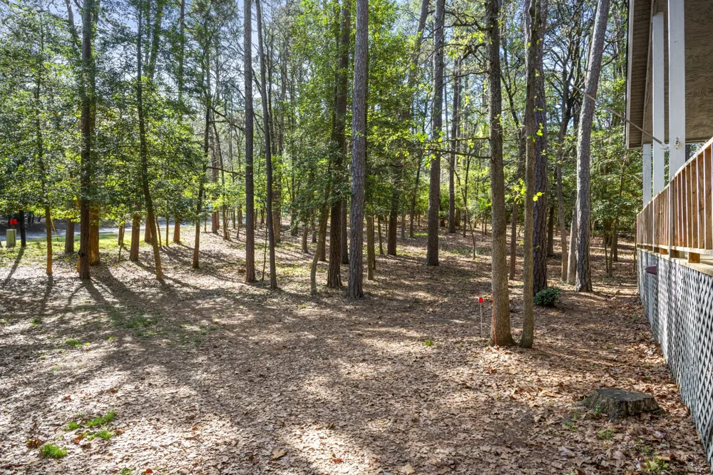 159 Cherrywood Lane Holly Lake Ranch, TX 75765