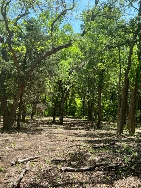 159 Bee Creek School House Grandview, TX 76050
