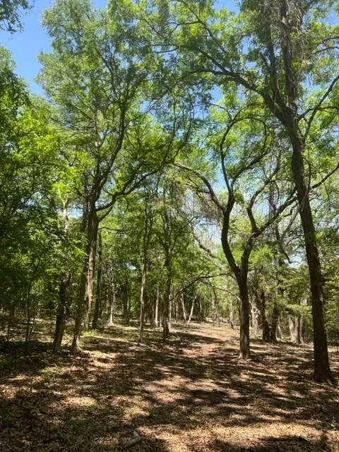 159 Bee Creek School House Grandview, TX 76050