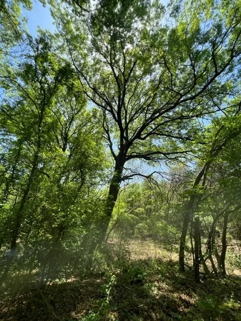 159 Bee Creek School House Grandview, TX 76050