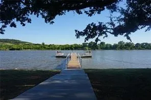 5 Mournning Dove Possum Kingdom Lake, TX 76449