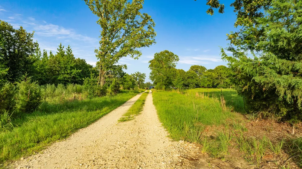 County Road 43200 Powderly, TX 75473