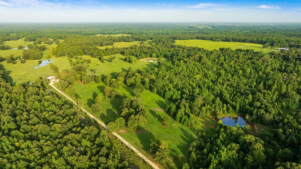 County Road 43200 Powderly, TX 75473