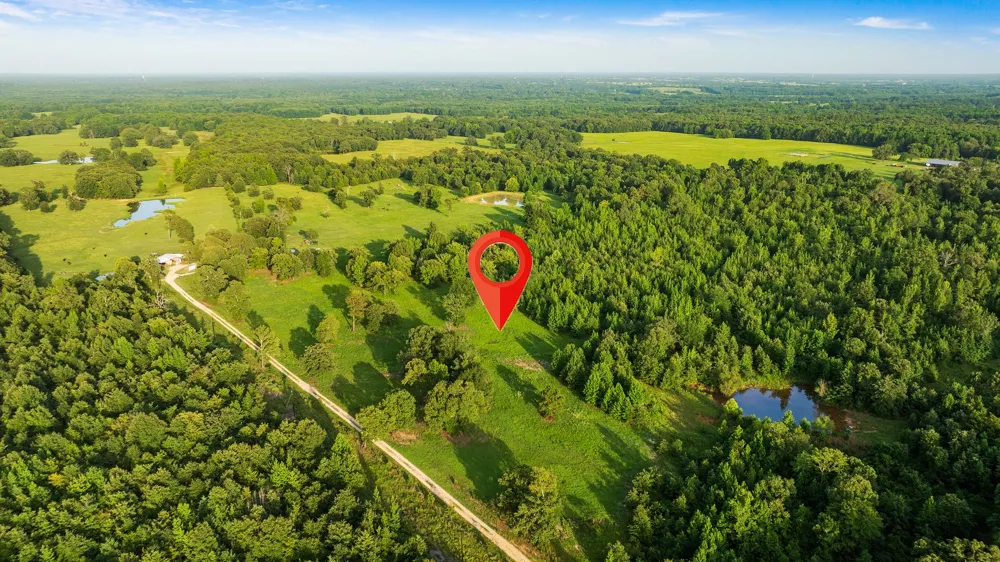 County Road 43200 Powderly, TX 75473