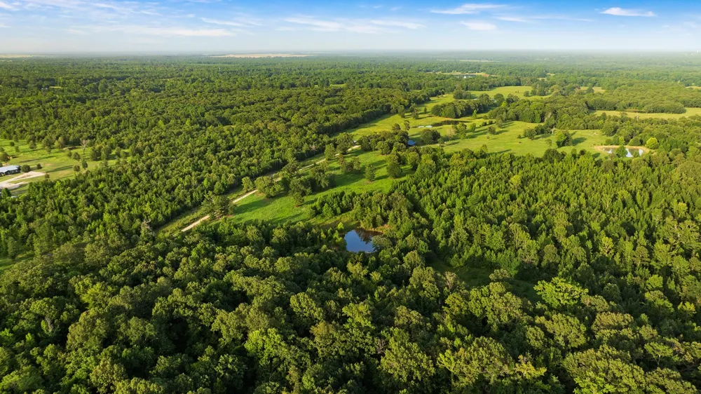 County Road 43200 Powderly, TX 75473
