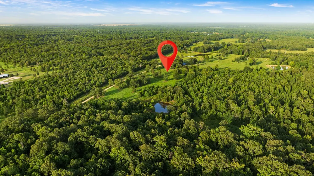 County Road 43200 Powderly, TX 75473