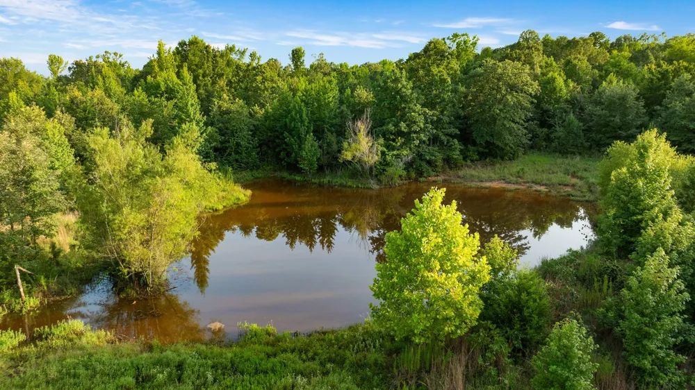 County Road 43200 Powderly, TX 75473