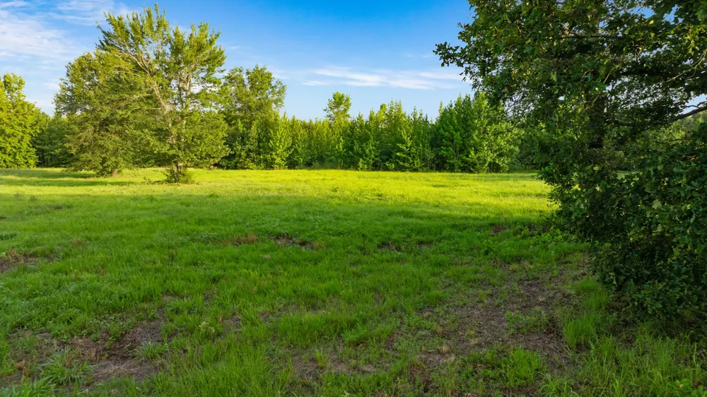 County Road 43200 Powderly, TX 75473
