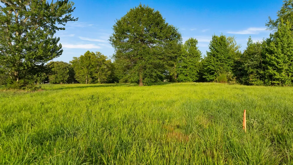 County Road 43200 Powderly, TX 75473