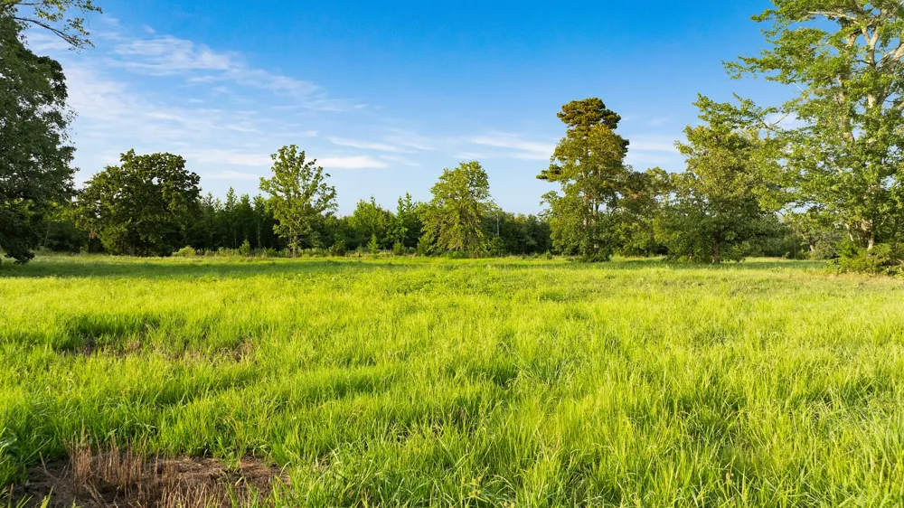 County Road 43200 Powderly, TX 75473