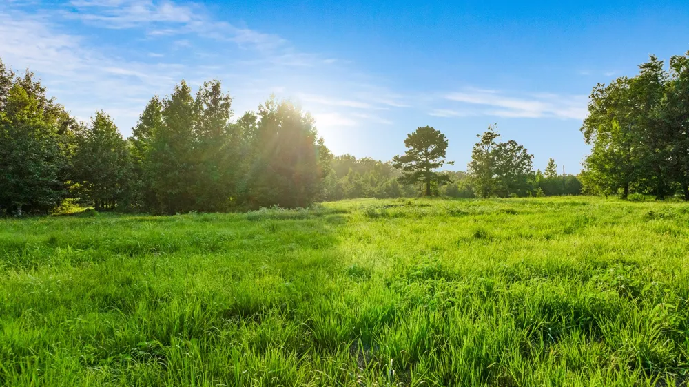 County Road 43200 Powderly, TX 75473