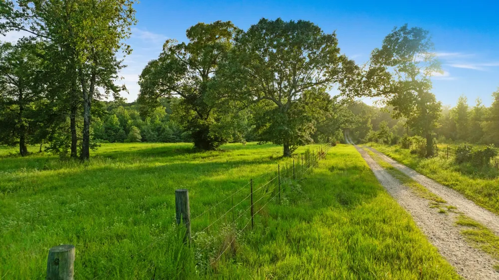 County Road 43200 Powderly, TX 75473