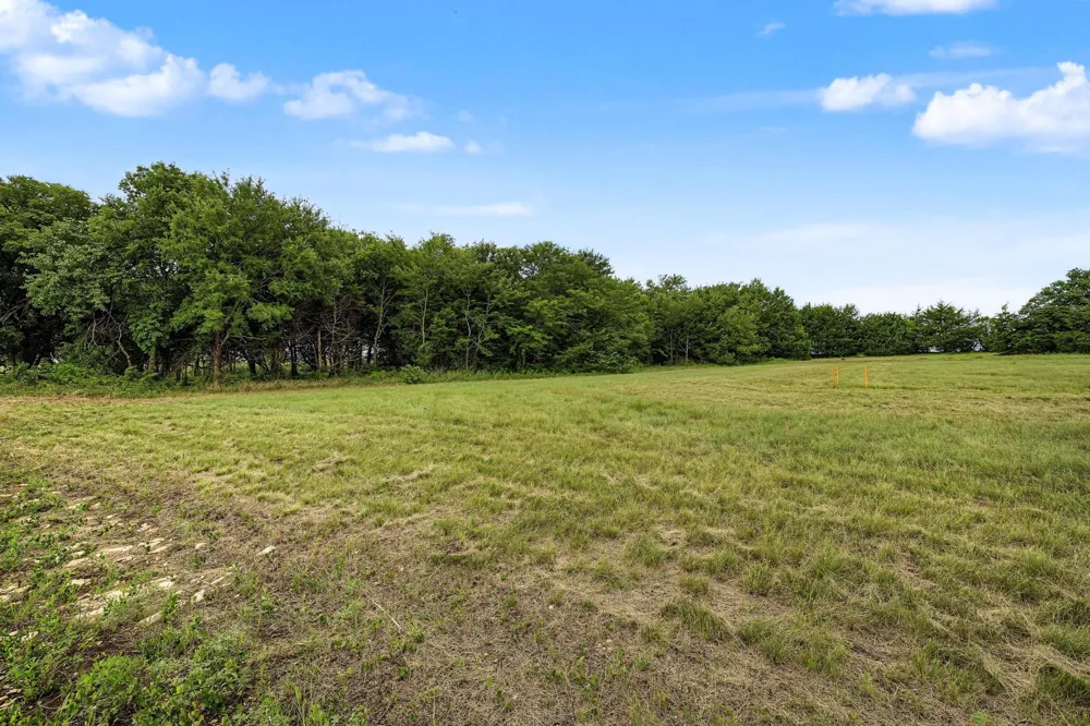 FM 981 Leonard, TX 75452