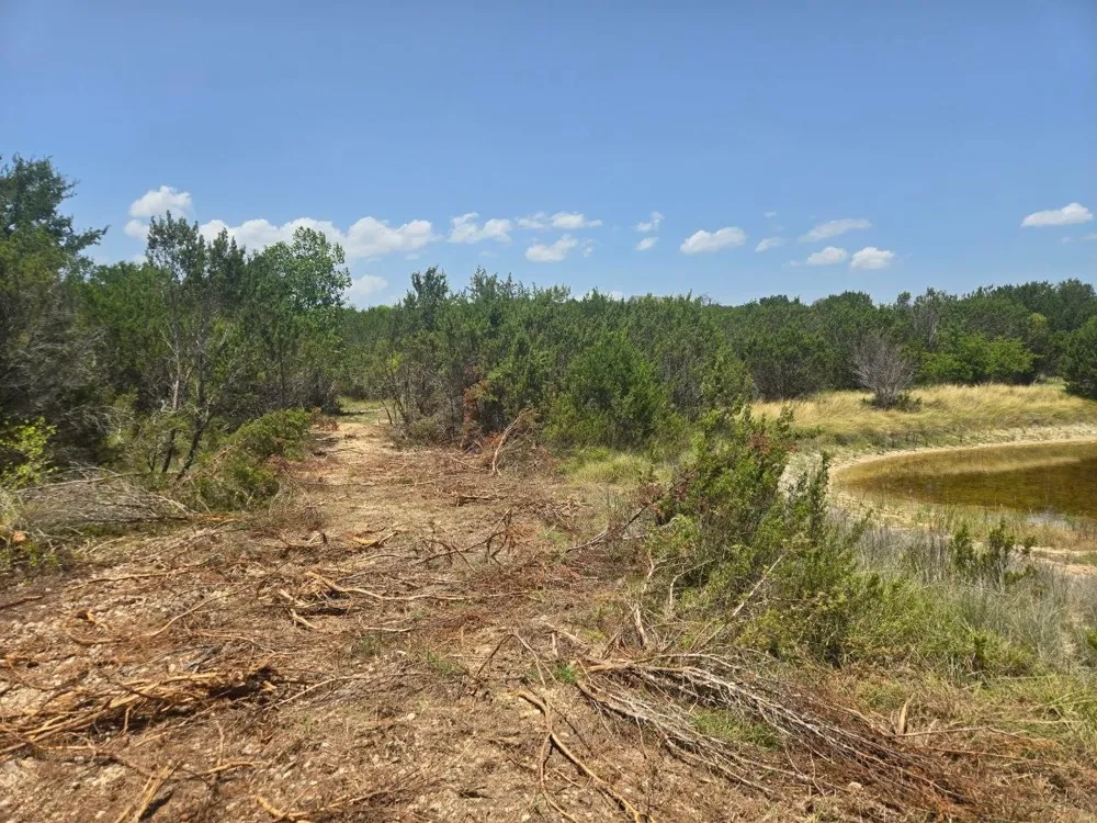 Lighthouse Drive Bluff Dale, TX 76433