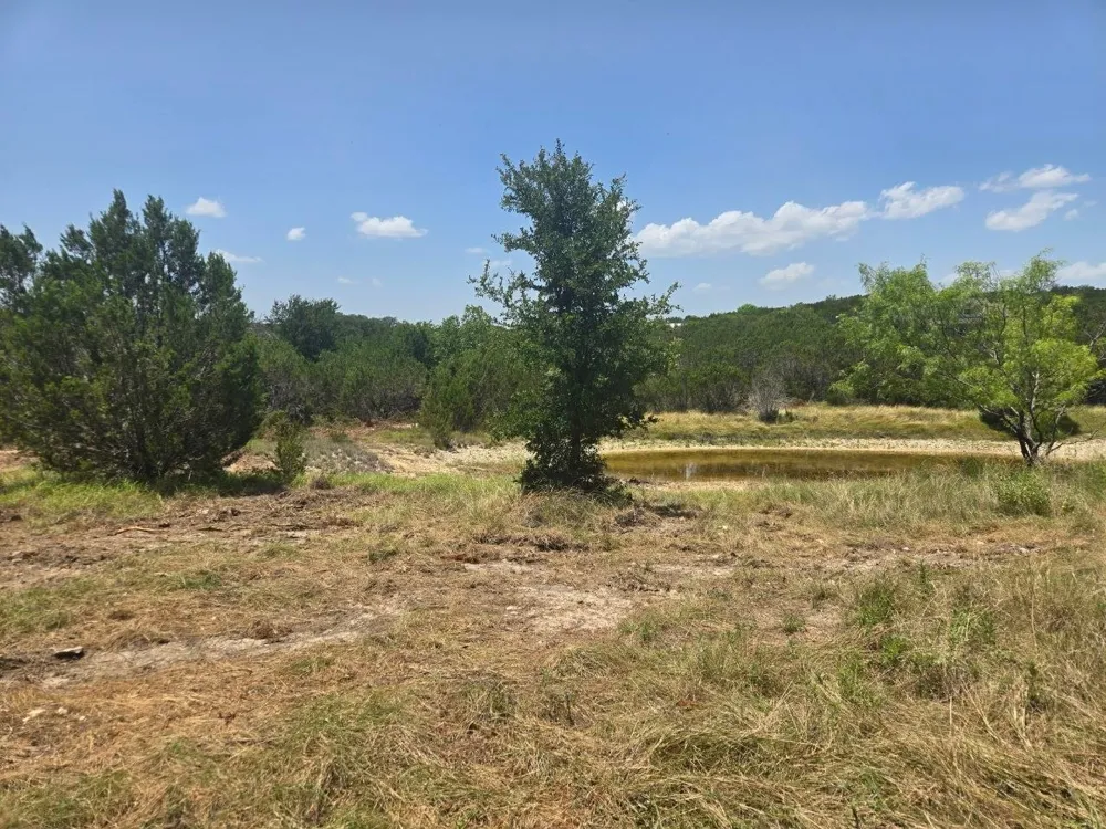 Lighthouse Drive Bluff Dale, TX 76433