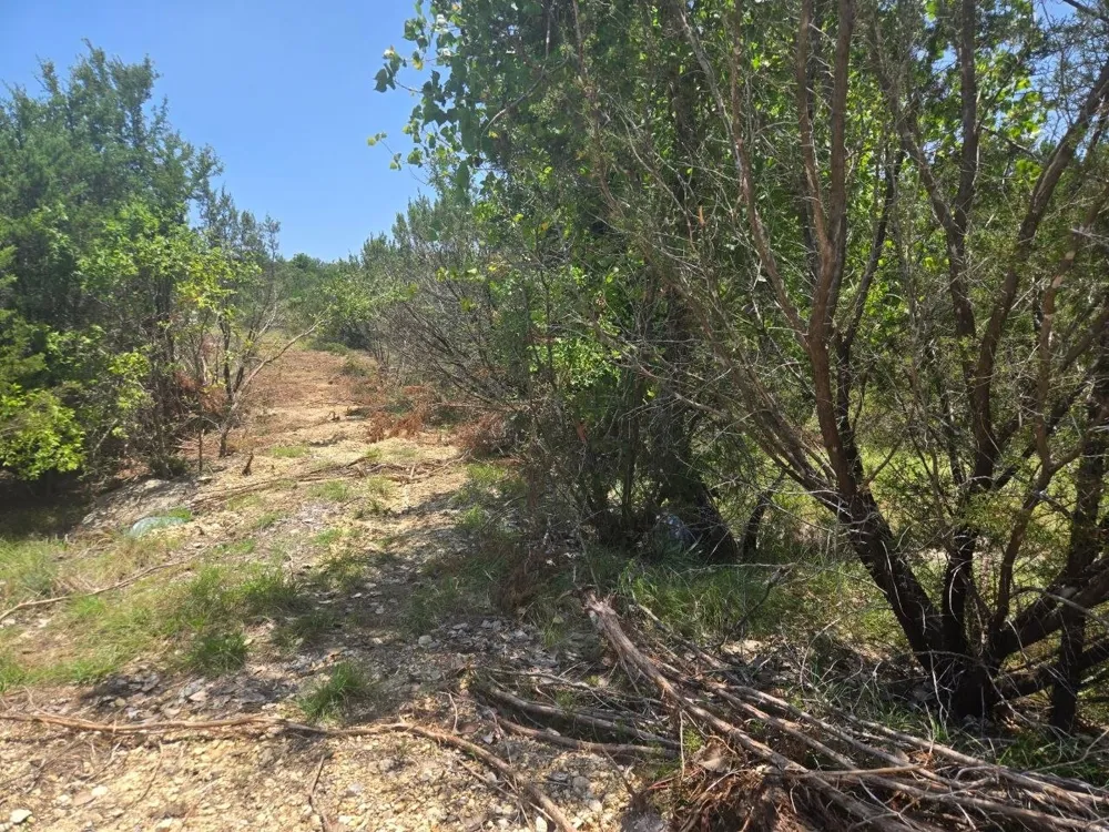 Lighthouse Drive Bluff Dale, TX 76433