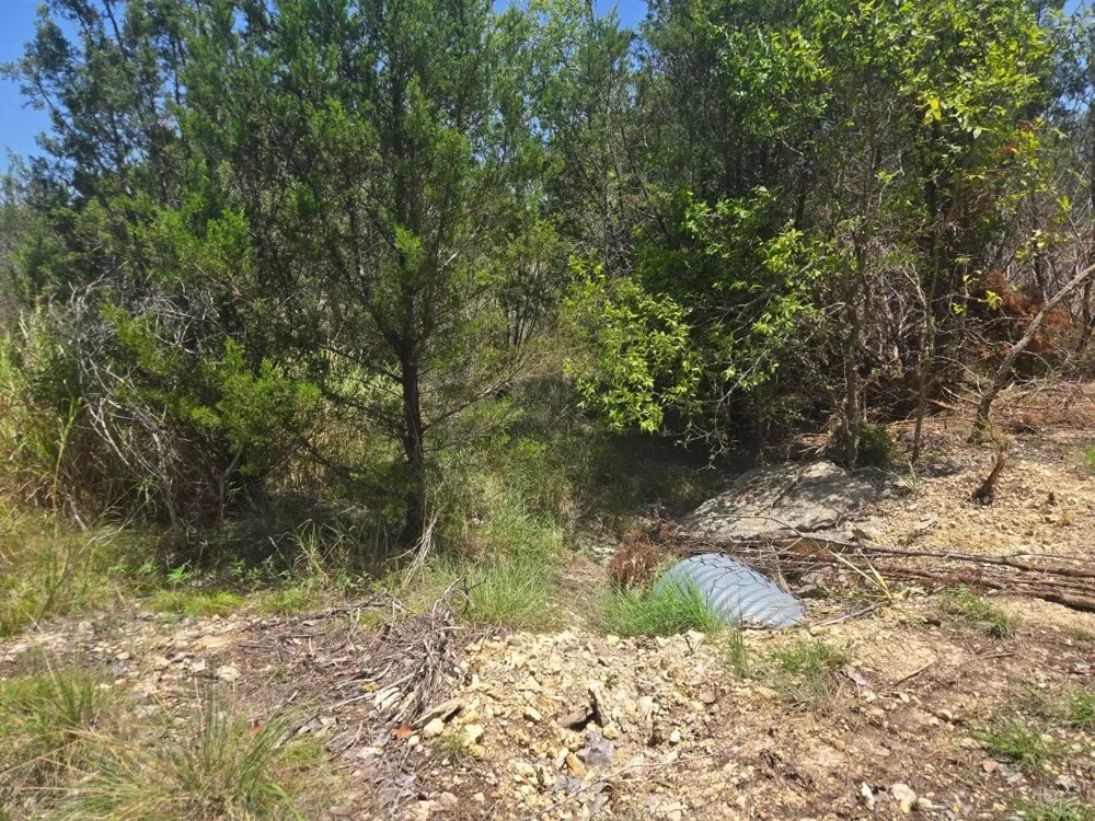 Lighthouse Drive Bluff Dale, TX 76433