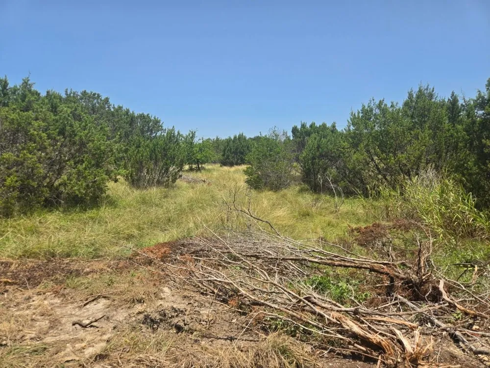 Lighthouse Drive Bluff Dale, TX 76433
