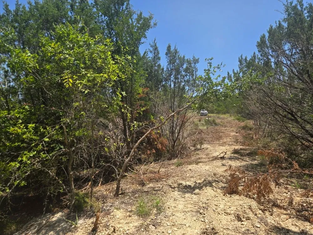 Lighthouse Drive Bluff Dale, TX 76433
