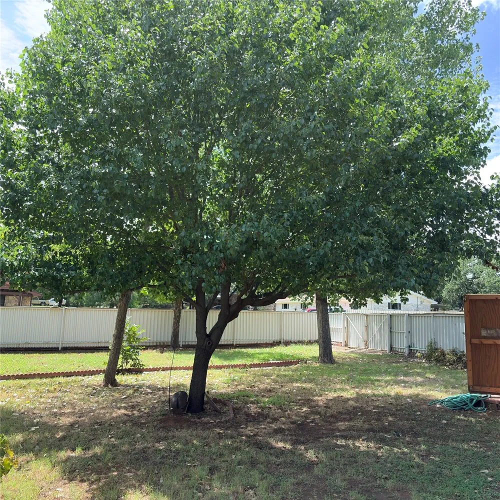 3103 Oak Avenue Mineral Wells, TX 76067