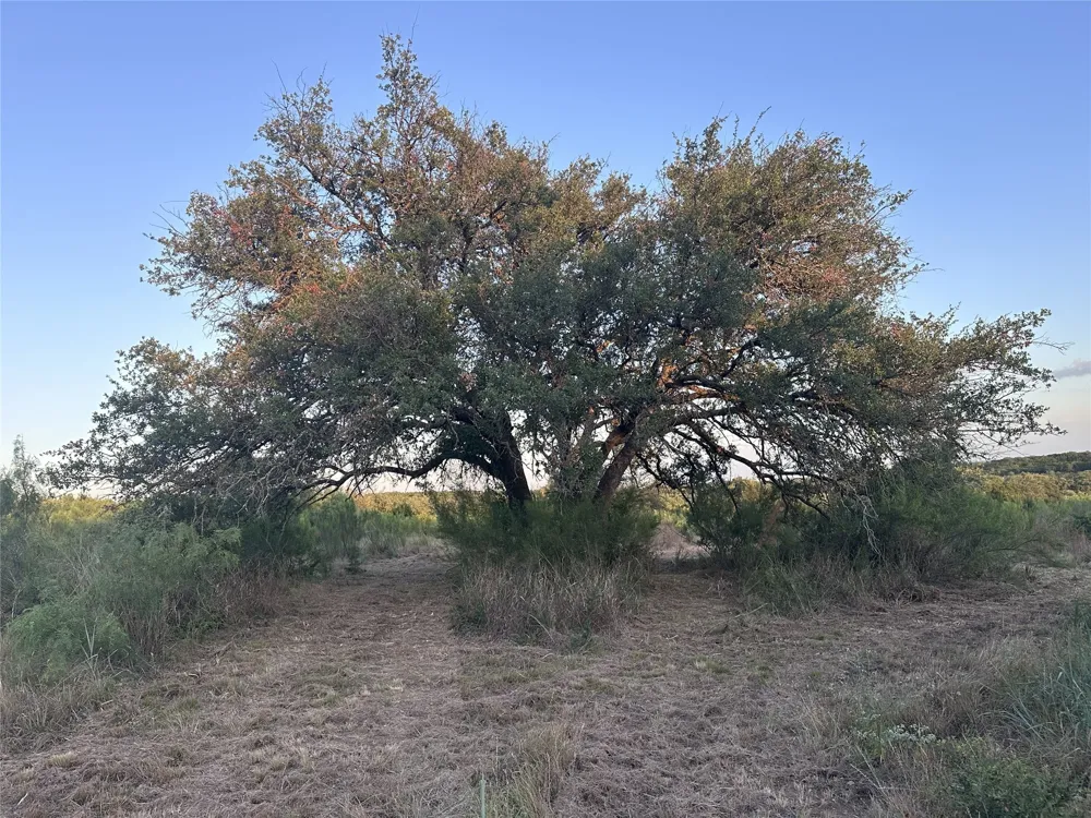 4805 Lookout Ridge Dr Marble Falls, TX 78654