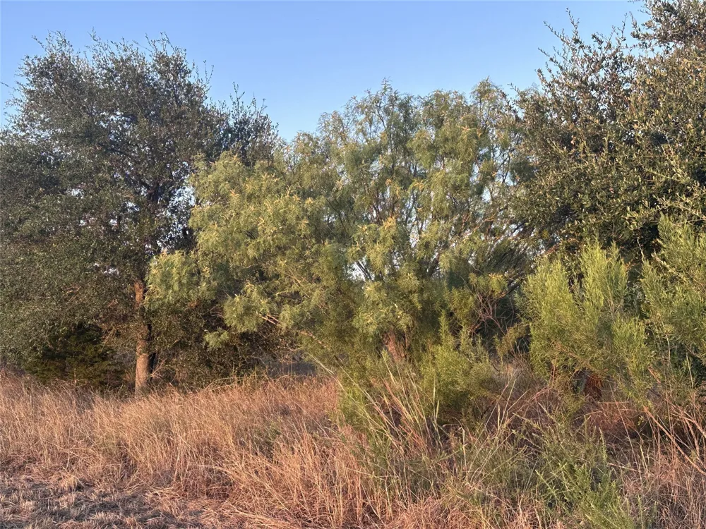 4805 Lookout Ridge Dr Marble Falls, TX 78654