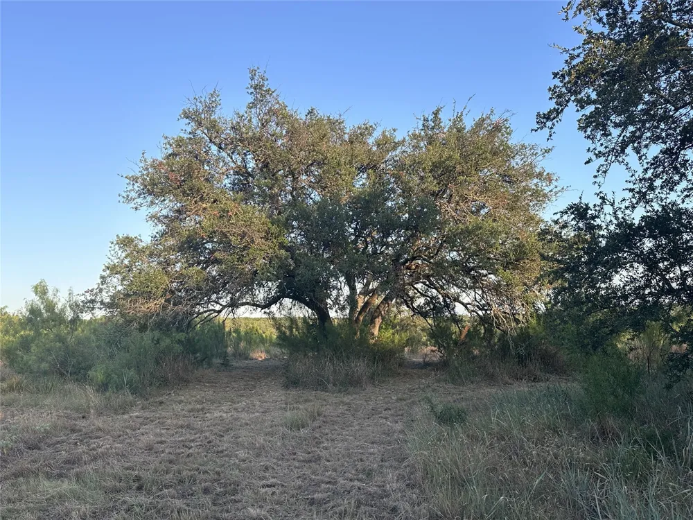 4805 Lookout Ridge Dr Marble Falls, TX 78654