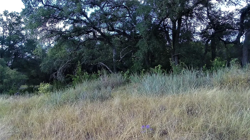4805 Lookout Ridge Dr Marble Falls, TX 78654