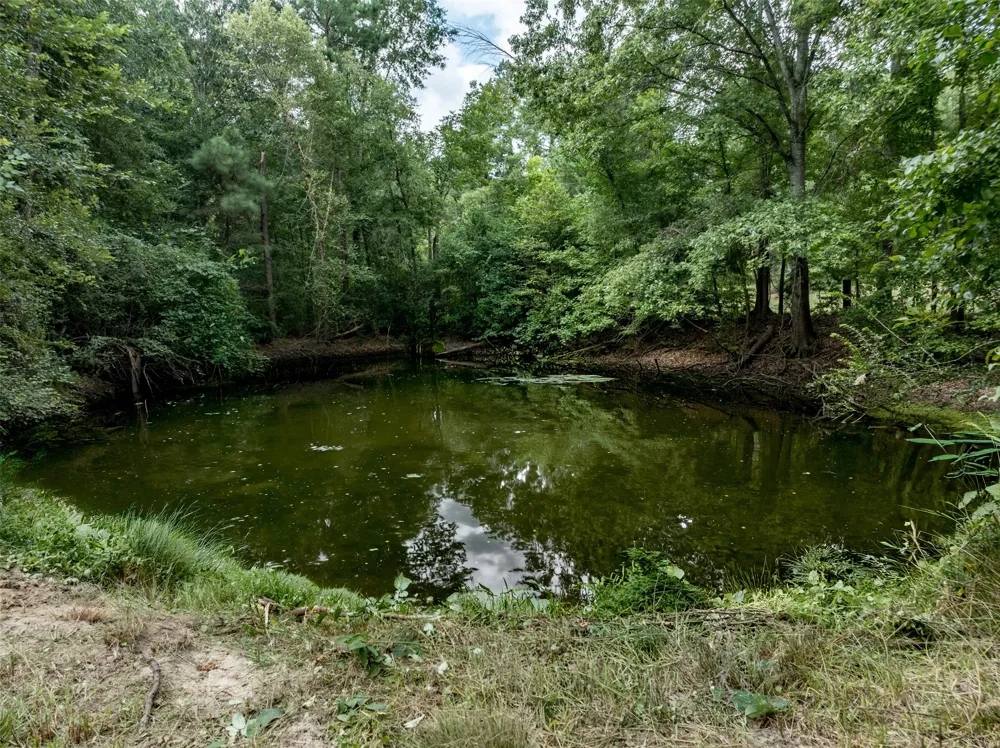 6841 State Highway 154 E Gilmer, TX 75645