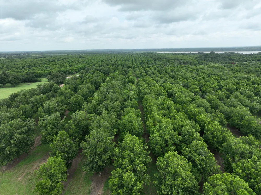 CR 424 Comanche, TX 76442