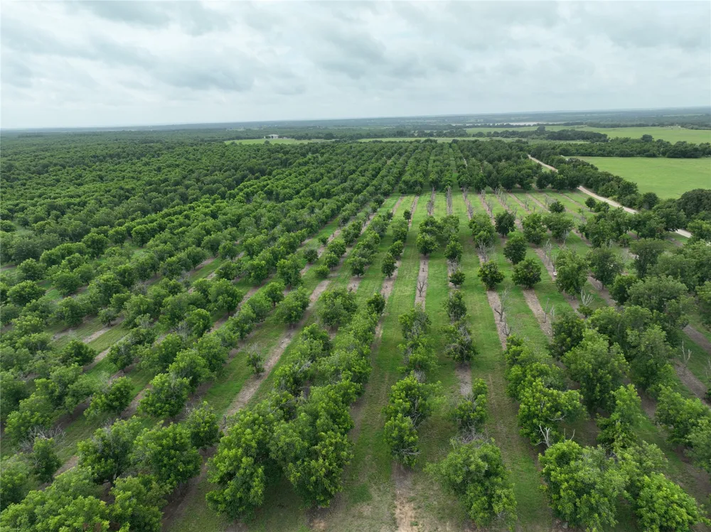 CR 424 Comanche, TX 76442