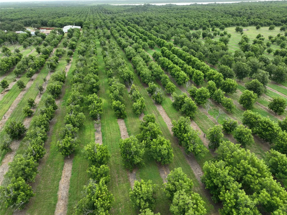 CR 424 Comanche, TX 76442