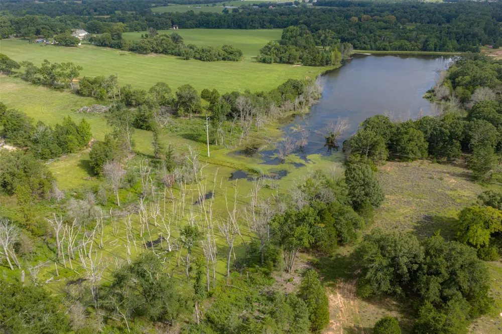 13053 County Road 3806 #3805 Murchison, TX 75778