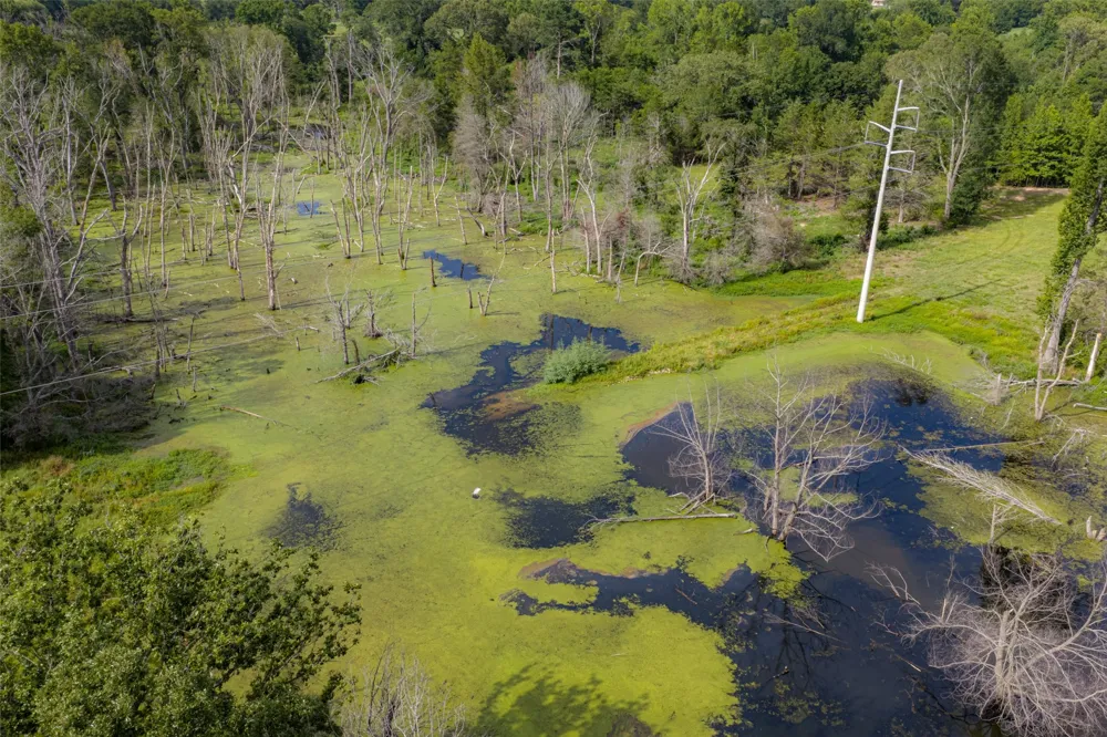13053 County Road 3806 #3805 Murchison, TX 75778