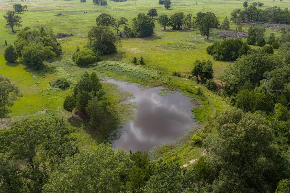 13053 County Road 3806 #3805 Murchison, TX 75778